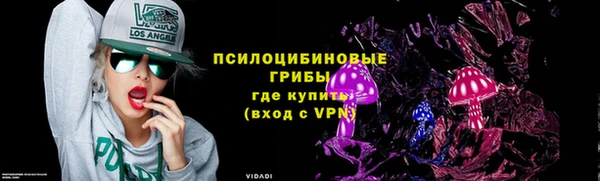гашик Горнозаводск