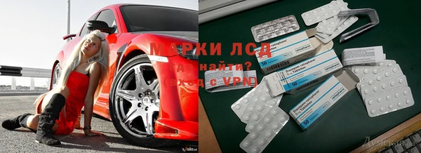 гашик Горнозаводск