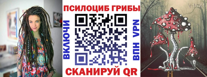 Галлюциногенные грибы Psilocybine cubensis  Дно 